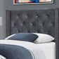 Transitional Bedframe Upholstered in Dark Grey Velvet with Chrome Trim