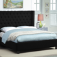 Modern Fabric Wing Bed with Deep Button Tufting and Nailhead Details