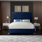 Contemporary Velvet Upholstered Bedframe with Deep Tufting Details